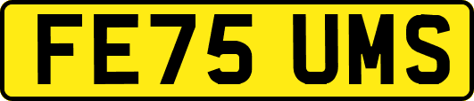 FE75UMS