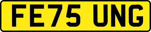 FE75UNG