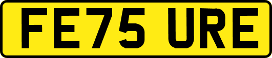 FE75URE