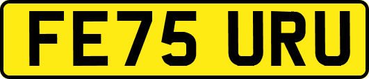 FE75URU