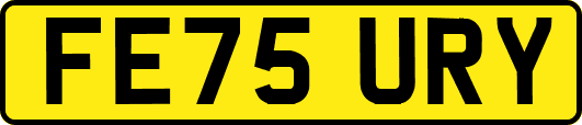 FE75URY