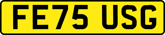 FE75USG