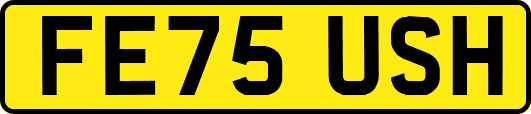 FE75USH