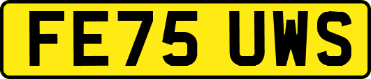 FE75UWS