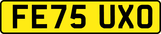 FE75UXO