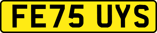 FE75UYS