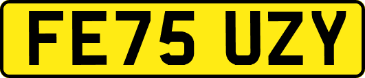 FE75UZY