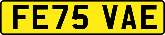FE75VAE