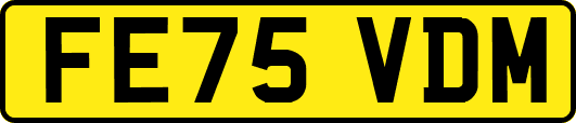 FE75VDM