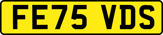 FE75VDS