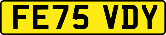 FE75VDY