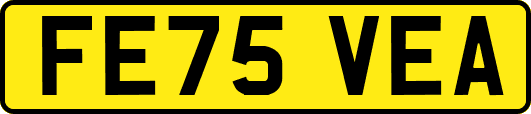 FE75VEA