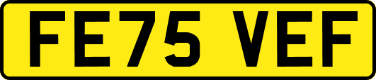 FE75VEF
