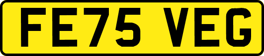 FE75VEG