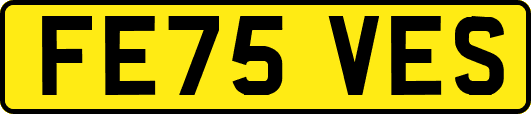 FE75VES