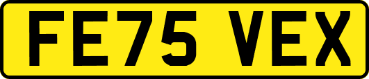 FE75VEX