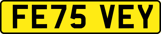 FE75VEY