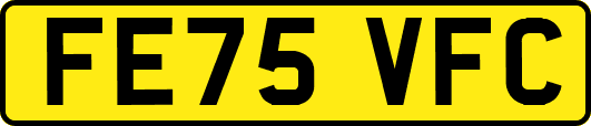 FE75VFC