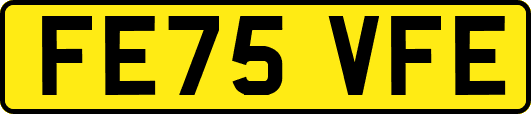 FE75VFE