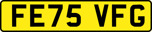 FE75VFG