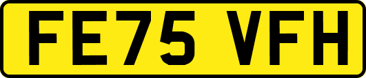 FE75VFH