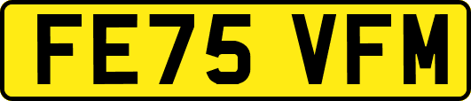 FE75VFM
