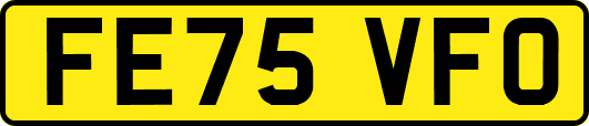 FE75VFO