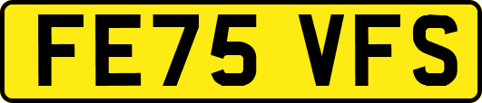 FE75VFS