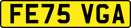 FE75VGA