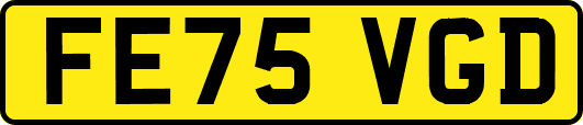 FE75VGD