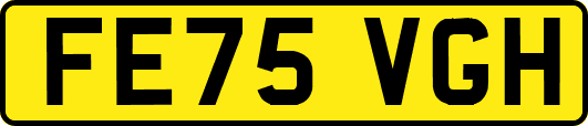 FE75VGH