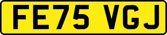 FE75VGJ