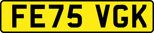 FE75VGK