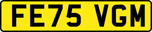 FE75VGM