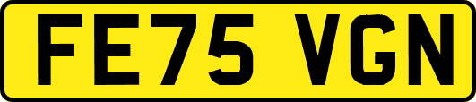 FE75VGN