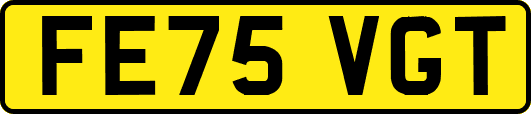 FE75VGT
