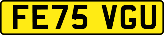 FE75VGU
