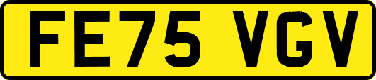 FE75VGV