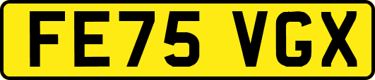 FE75VGX