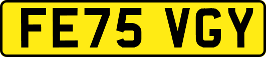 FE75VGY