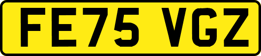 FE75VGZ