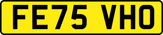 FE75VHO