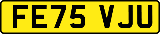 FE75VJU