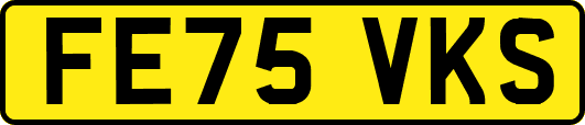FE75VKS