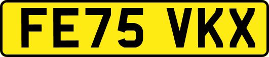 FE75VKX