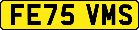 FE75VMS