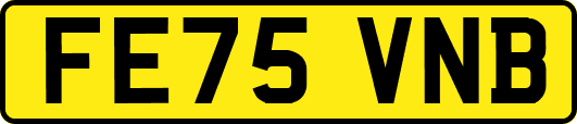 FE75VNB