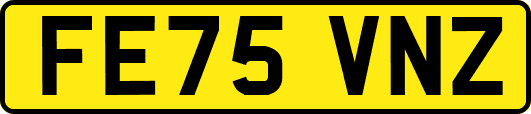 FE75VNZ