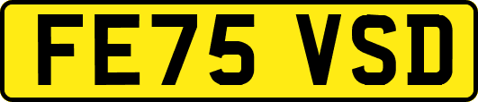 FE75VSD