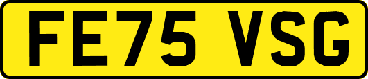 FE75VSG